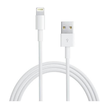 Chargeur et câble micro USB Lightning pour iPhone 5